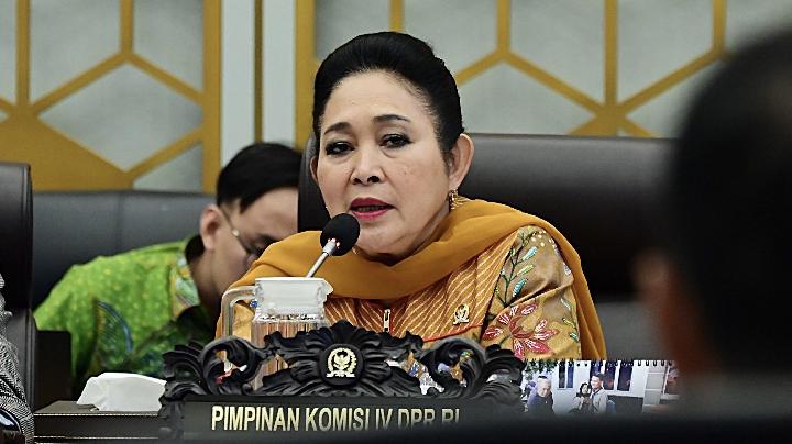 Hadapi Dinamika Global, Komisi IV DPR Minta Dilakukan Penguatan Pangan Nasional