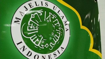 MUI Kecam Israel Tangkap Aktivis Kemanusiaan dan Jurnalis Indonesia