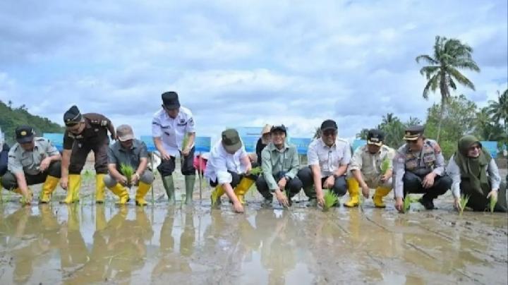 rehabilitasi-sawah-pascabencana-di-sumatra-melonjak-4.000-hektare-dalam-17-hari