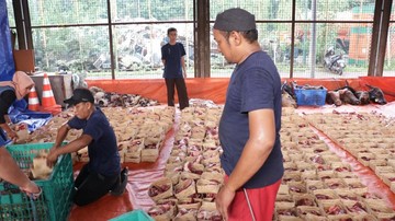 Pemprov DKI Minta Warga Pakai Besek untuk Pembagian Daging Kurban