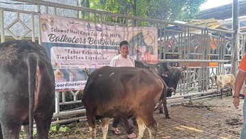 Kenalin! Iyung, Jagal Senior yang Sudah 47 Tahun Potong Hewan Kurban