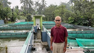 Cerita Ruskandar Dibantu BRI, Usaha Ikan Bioflok Topang Ekonomi di Masa Pensiun