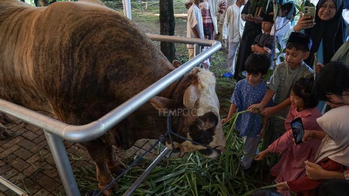 MUI Beri Dalil Pembelian Hewan Kurban Prabowo Pakai APBN Sah