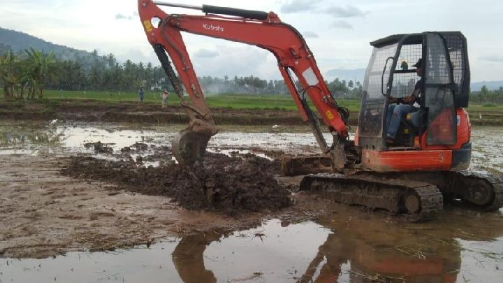 Kolaborasi Warga dan Satgas PRR Pulihkan 1.323 Hektare atau 88 Persen Sawah di Solok