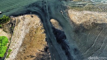 Viral 'Pulau Sampah' di Pesisir Jakut, Tim Gabungan Korve Bersihkan