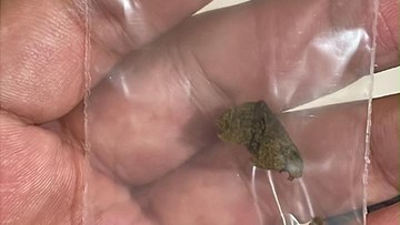 WN Rusia Bawa 7,8 Kg Hashish dari Thailand, Hendak Diedarkan di Bali