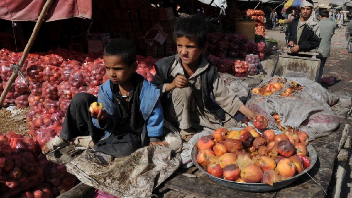 Apa yang disampaikan oleh apel busuk Afghanistan kepada kita tentang sektor buruknya