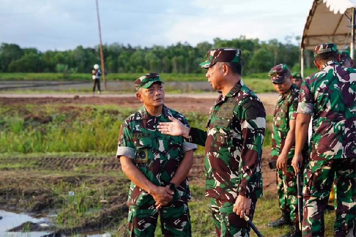 TNI Kelola 2,5 Juta Hektare Lahan Program Ketahanan Pangan