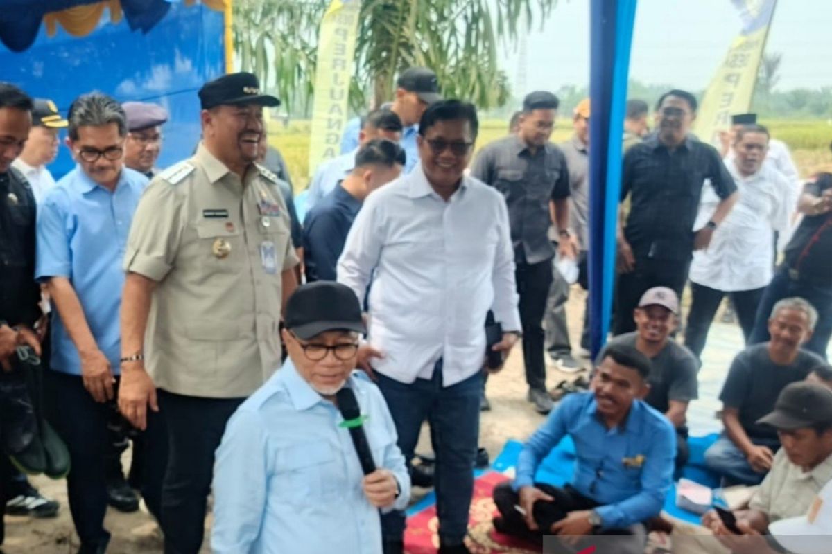 Zulhas paparkan langkah perkuat pangan saat panen raya di Batu Bara