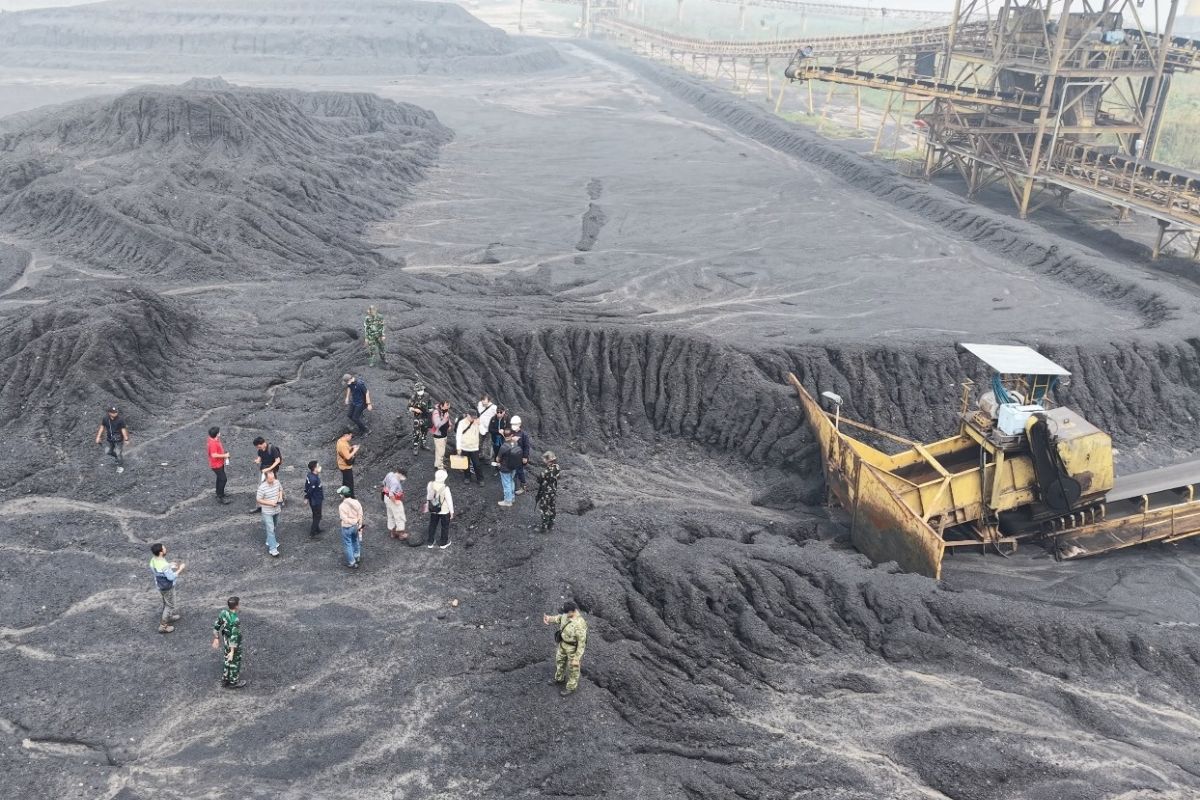 Batu bara sitaan dari Samin Tan laku terjual Rp264 miliar
