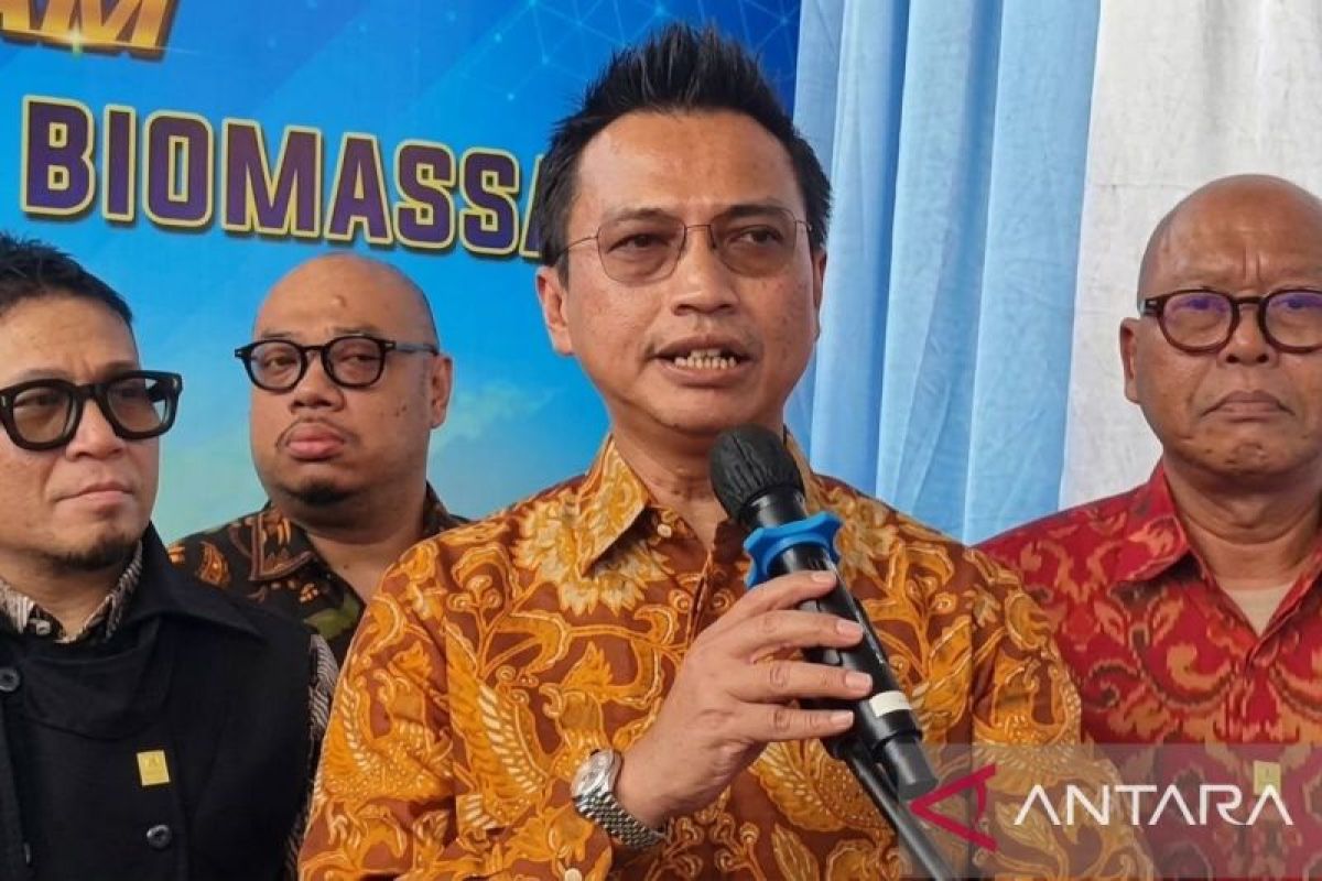 PLN-Kemendes mendorong pemanfaatan biomassa untuk pembangkit listrik